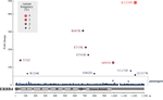 An Unbiased Functional Genetics Screen Identifies Rare Activating ERBB4 Mutations